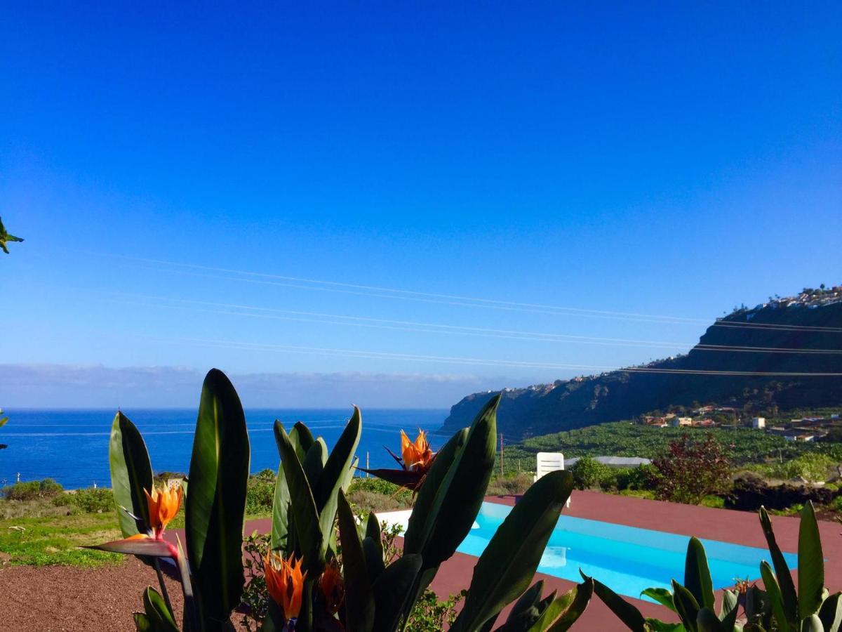 Dragos Del Mar , Espacio Natural La Orotava Εξωτερικό φωτογραφία