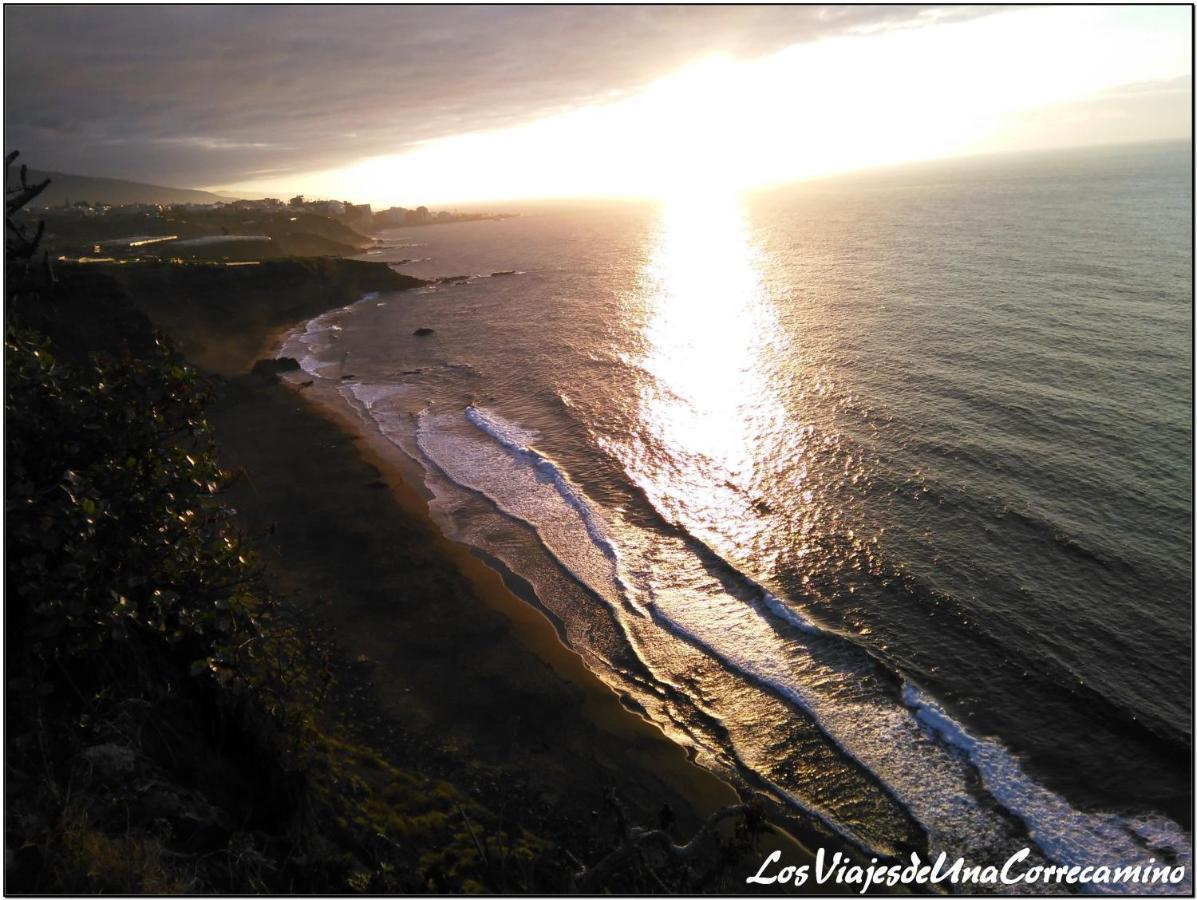 Dragos Del Mar , Espacio Natural La Orotava Εξωτερικό φωτογραφία