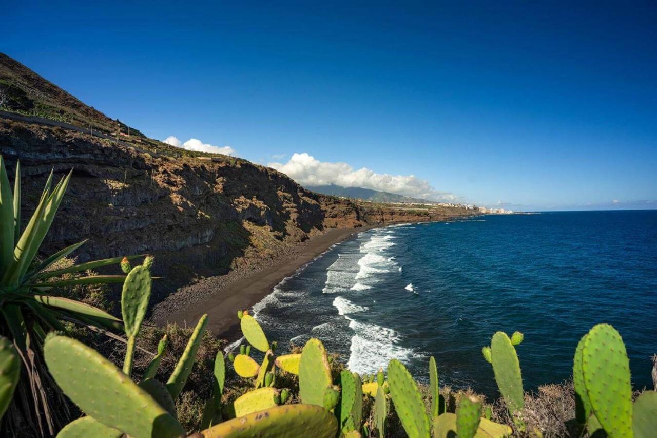 Dragos Del Mar , Espacio Natural La Orotava Εξωτερικό φωτογραφία